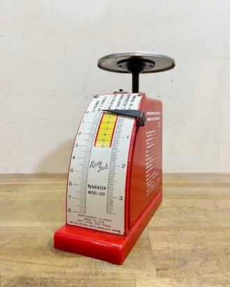 Hanson Kitchen Scale 【B8906】